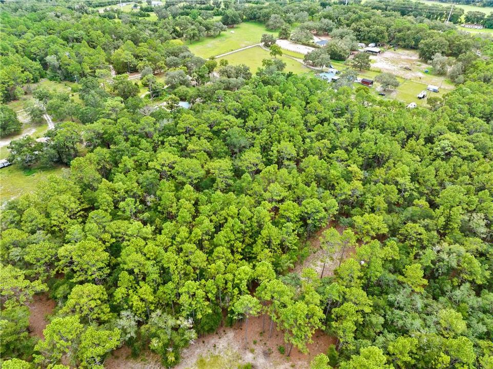 待售: $350,000 (5.20 acres)