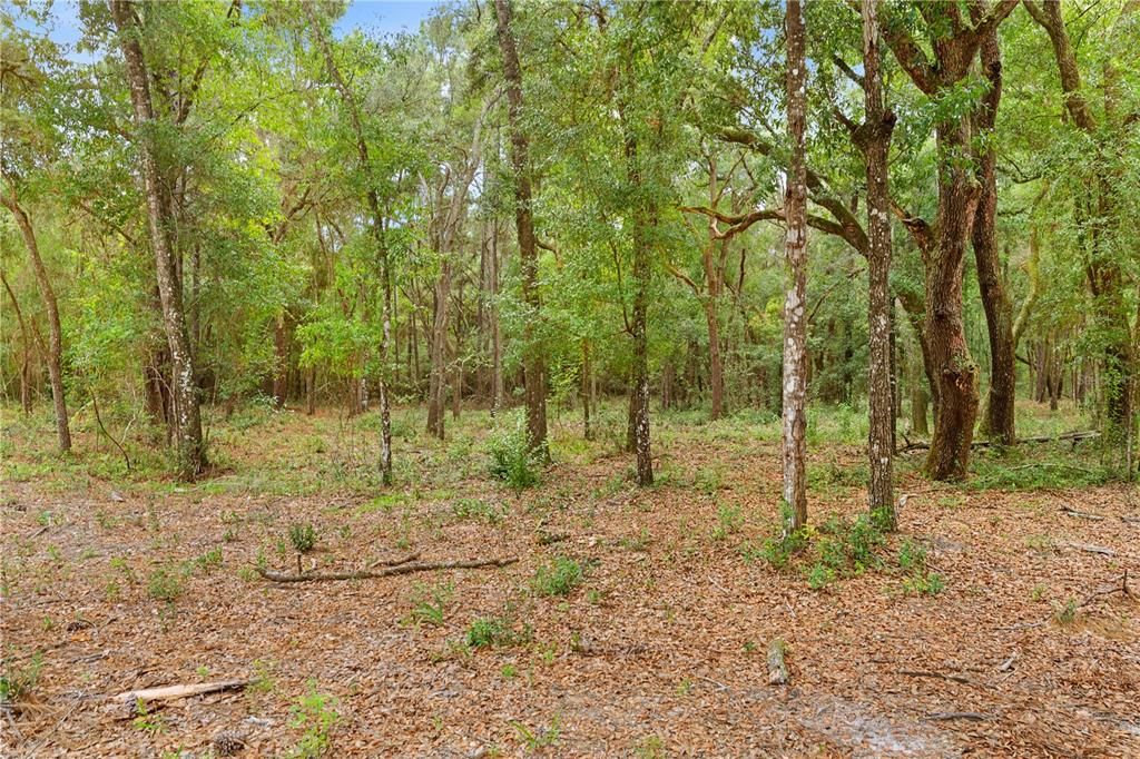 待售: $350,000 (5.20 acres)