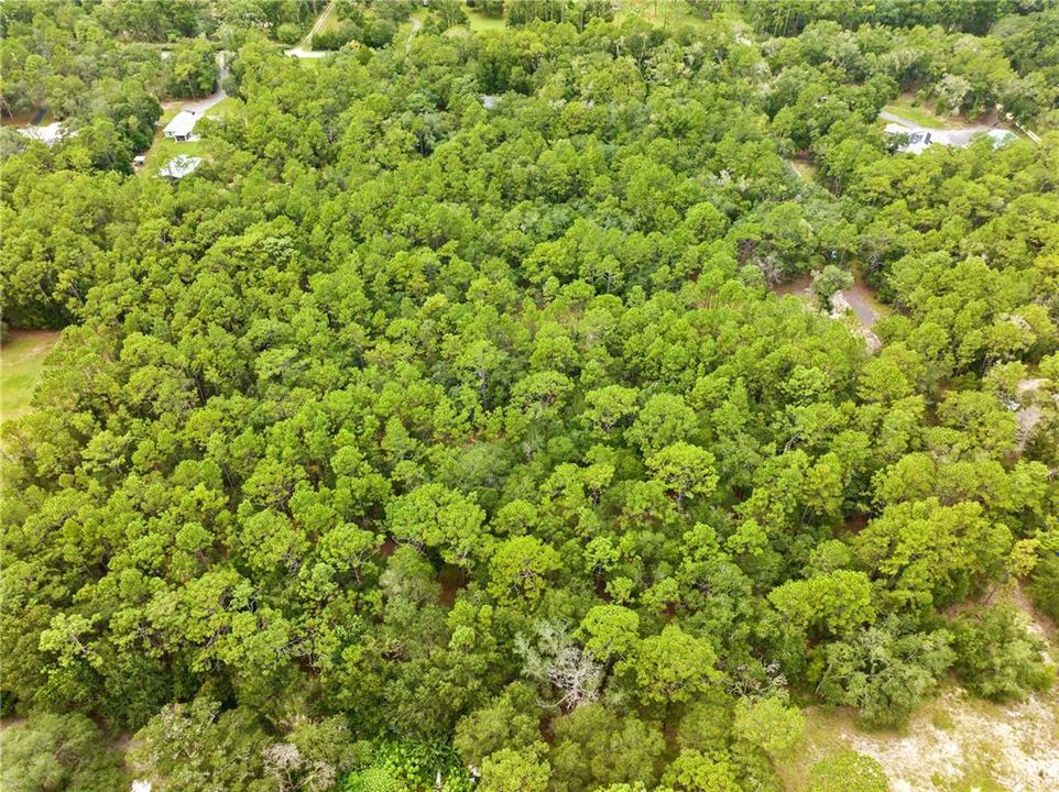 待售: $350,000 (5.20 acres)