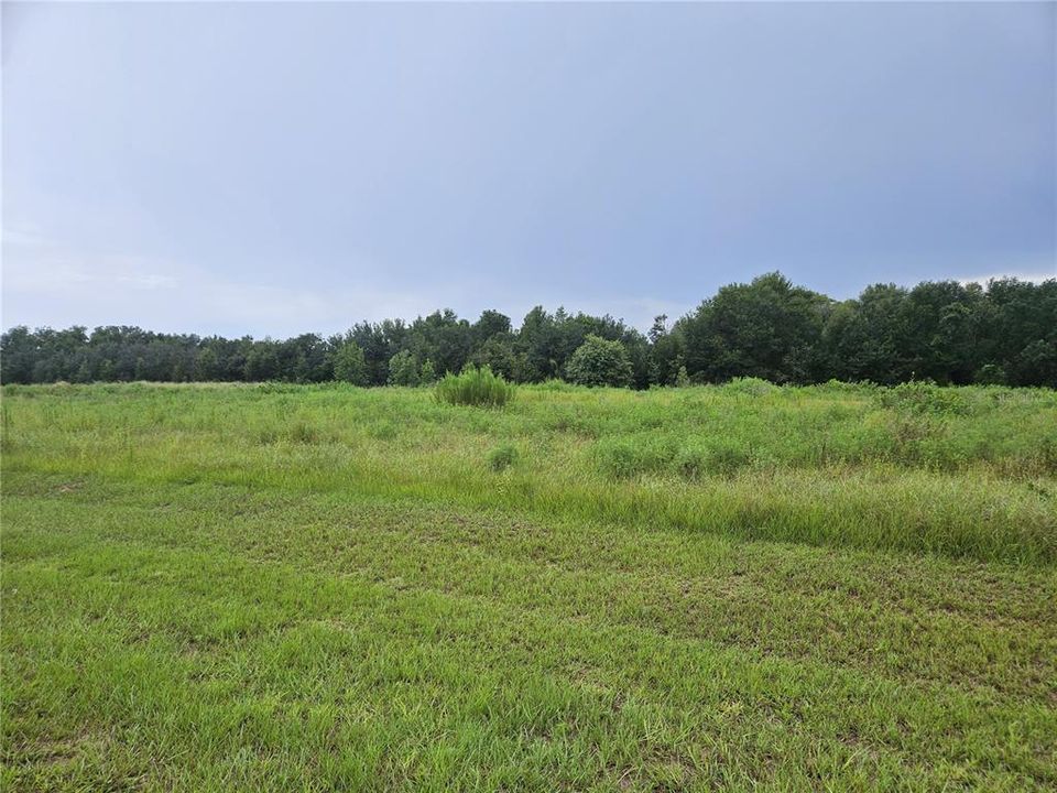 待售: $145,000 (1.78 acres)