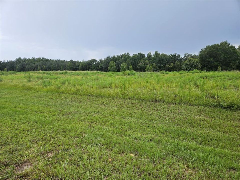 待售: $145,000 (1.78 acres)