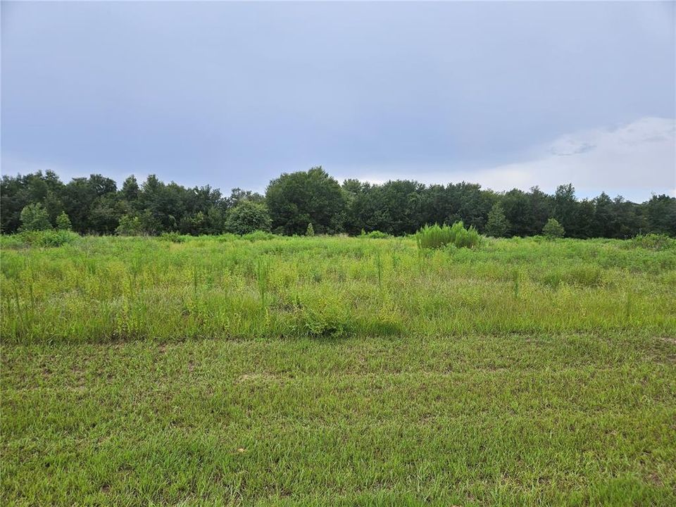 待售: $145,000 (1.78 acres)