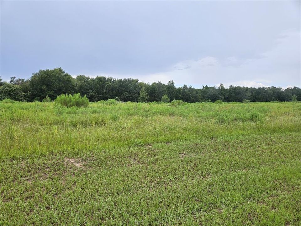 待售: $145,000 (1.78 acres)