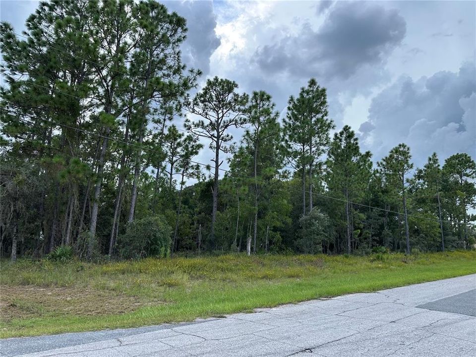En Venta: $90,000 (1.14 acres)