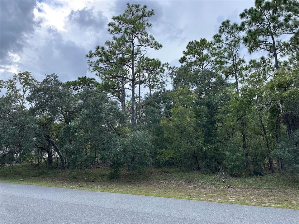 En Venta: $90,000 (1.14 acres)