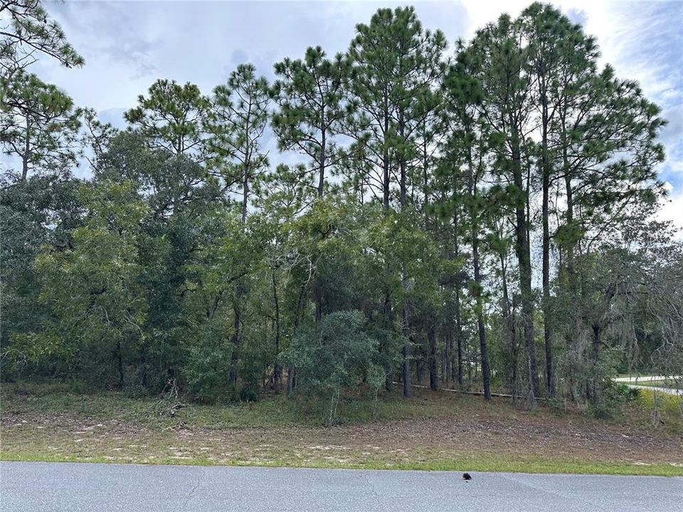 En Venta: $90,000 (1.14 acres)