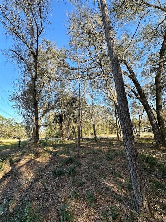 待售: $19,000 (1.00 acres)