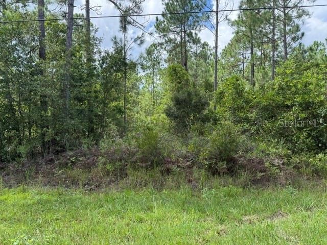 待售: $47,500 (1.14 acres)