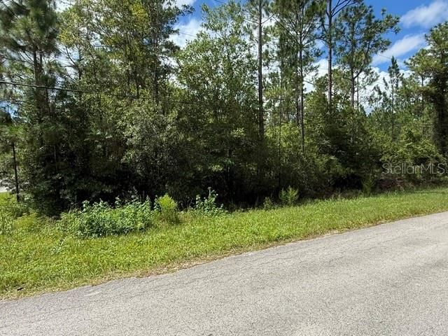 待售: $47,500 (1.14 acres)