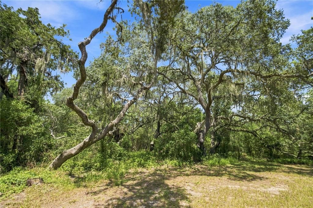 На продажу: $499,900 (3 спален, 2 ванн, 1915 Квадратных фут)