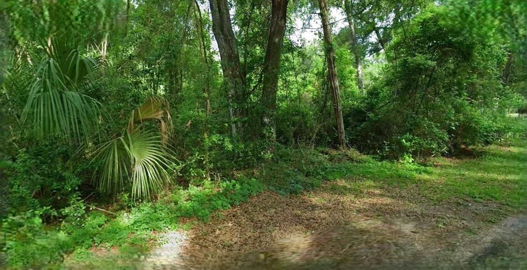 For Sale: $51,800 (1.08 acres)