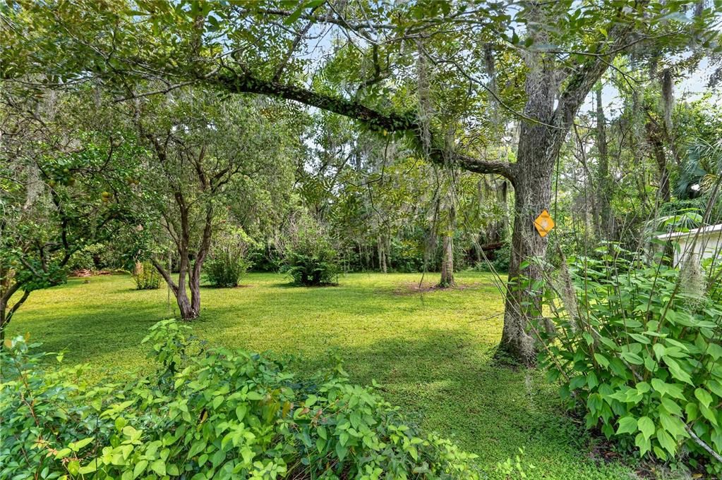 En Venta: $199,900 (3 camas, 1 baños, 1170 Pies cuadrados)