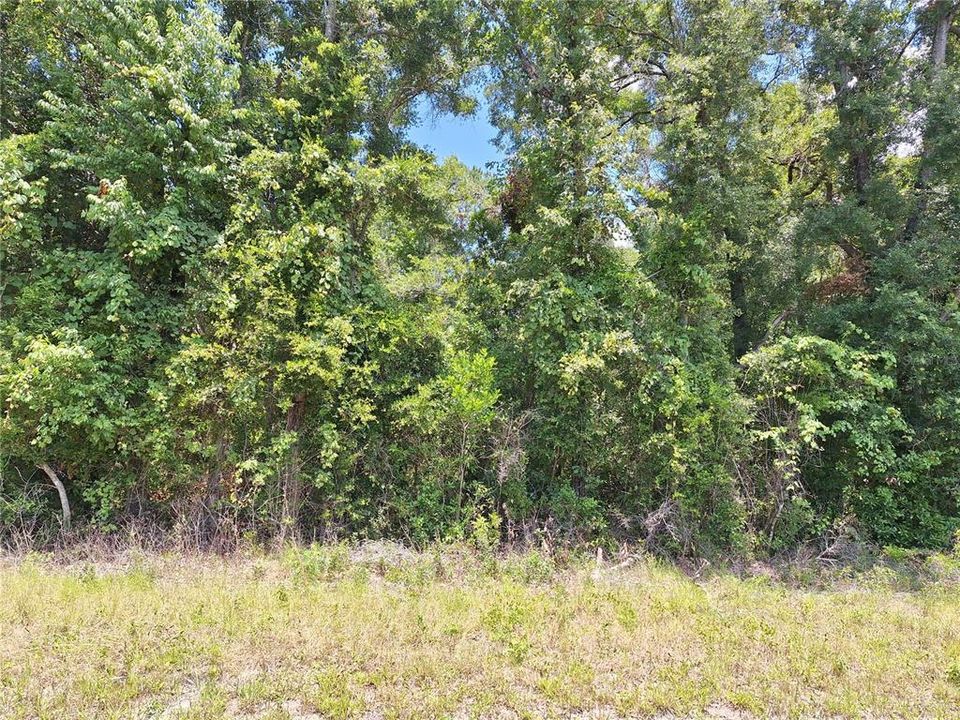 For Sale: $75,000 (1.00 acres)