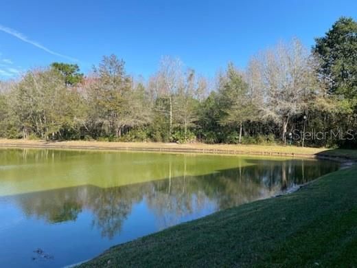 For Rent: $1,500 (1 beds, 1 baths, 792 Square Feet)