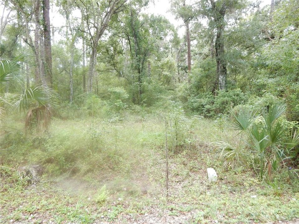 For Sale: $60,000 (1.81 acres)