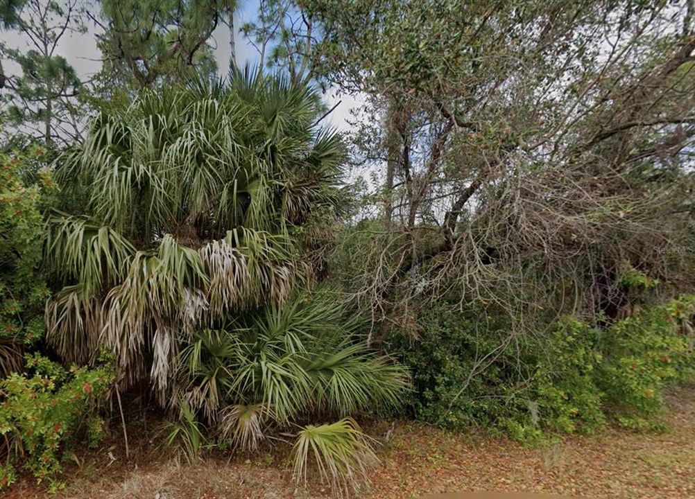 For Sale: $30,000 (0.23 acres)