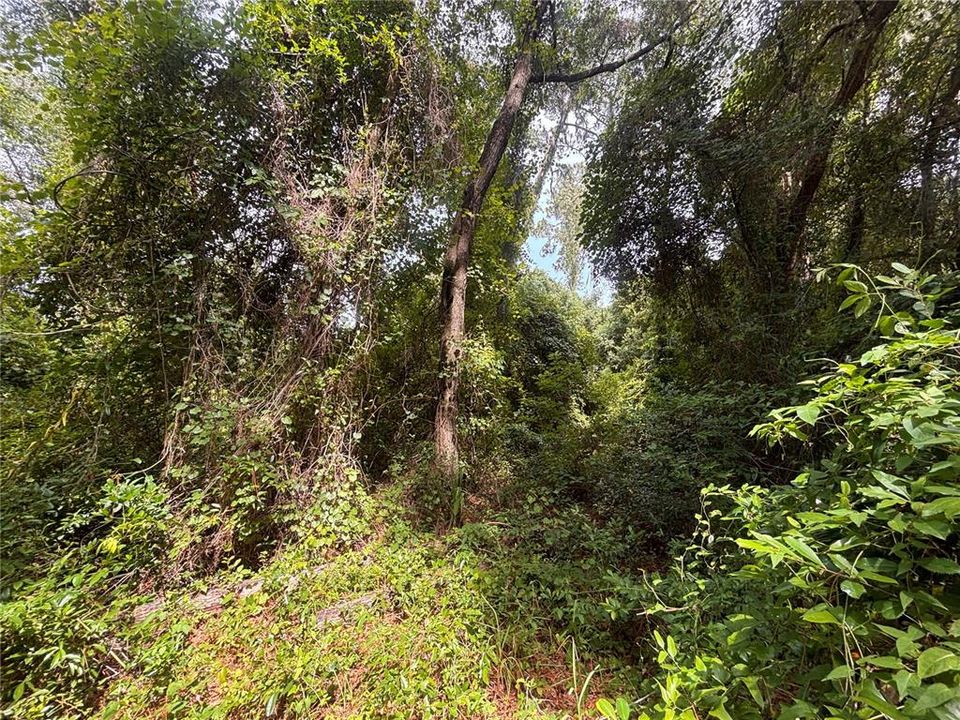 En Venta: $50,000 (0.29 acres)