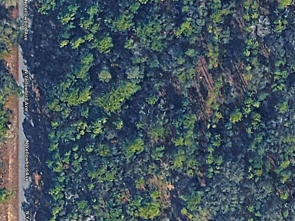 合同活跃: $20,000 (0.35 acres)