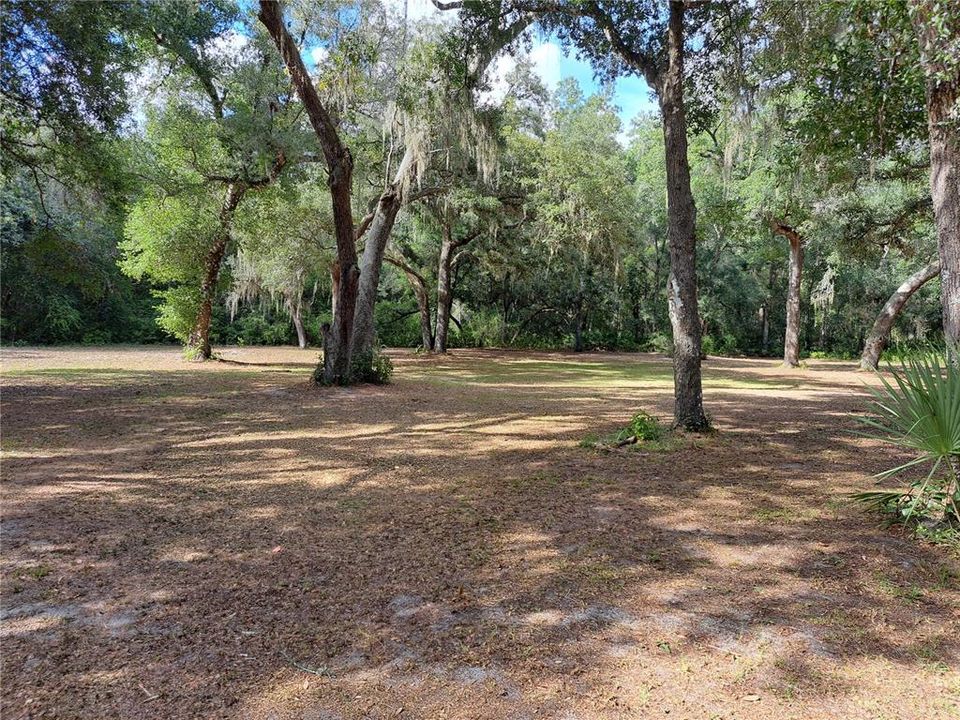 For Sale: $295,000 (1 beds, 1 baths, 480 Square Feet)