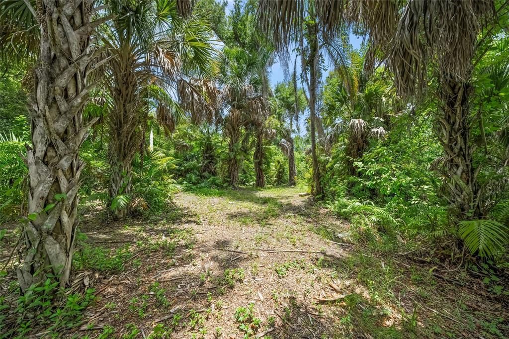 待售: $325,000 (0.60 acres)