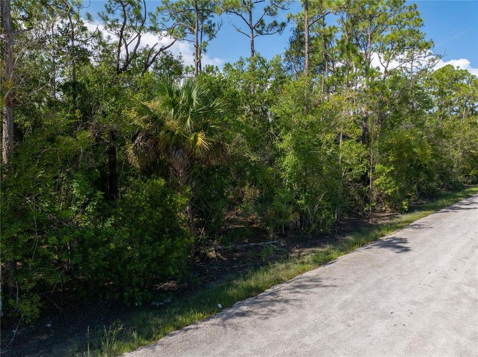For Sale: $19,900 (0.28 acres)