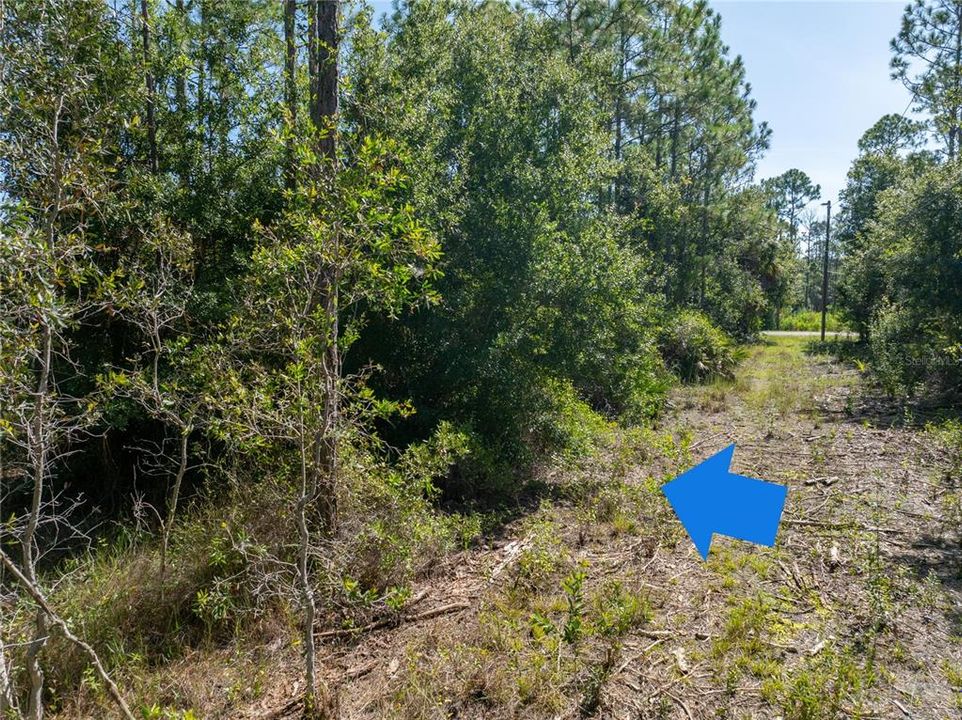 For Sale: $19,900 (0.28 acres)