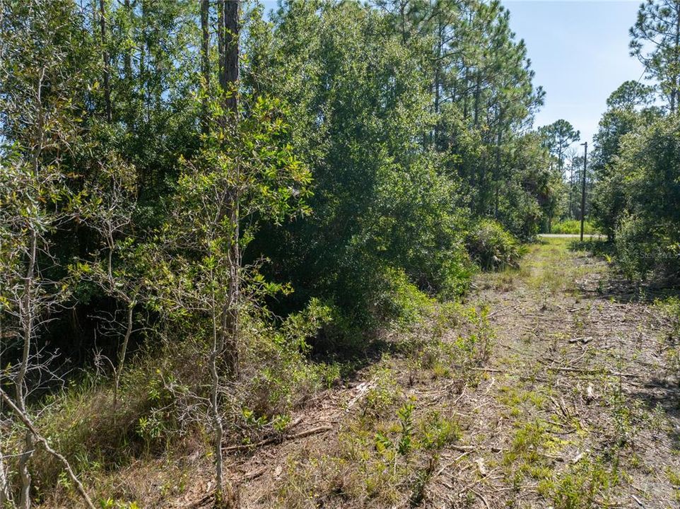 For Sale: $19,900 (0.28 acres)