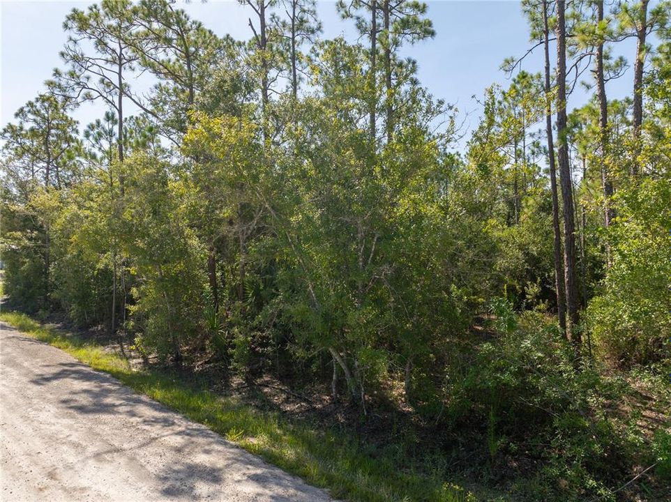 For Sale: $19,900 (0.28 acres)