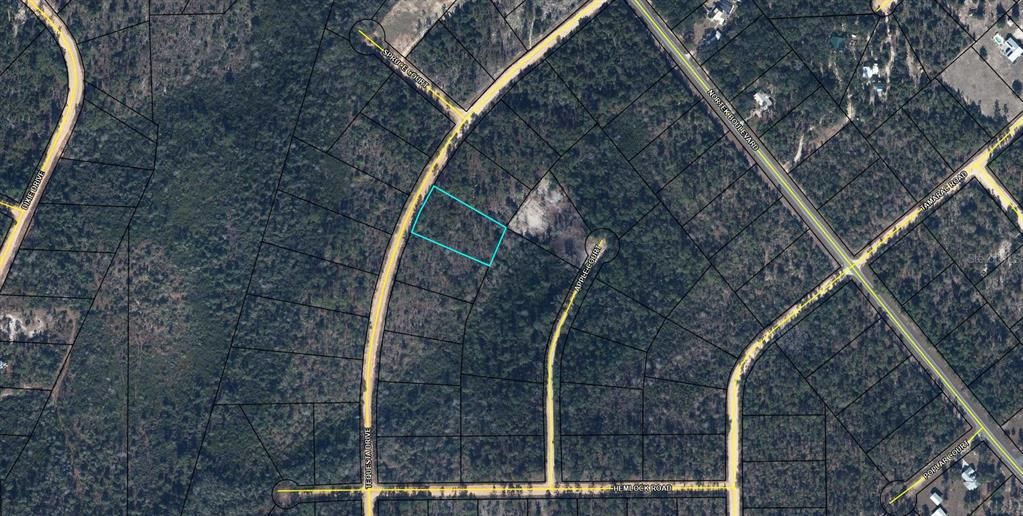 En Venta: $13,700 (1.50 acres)