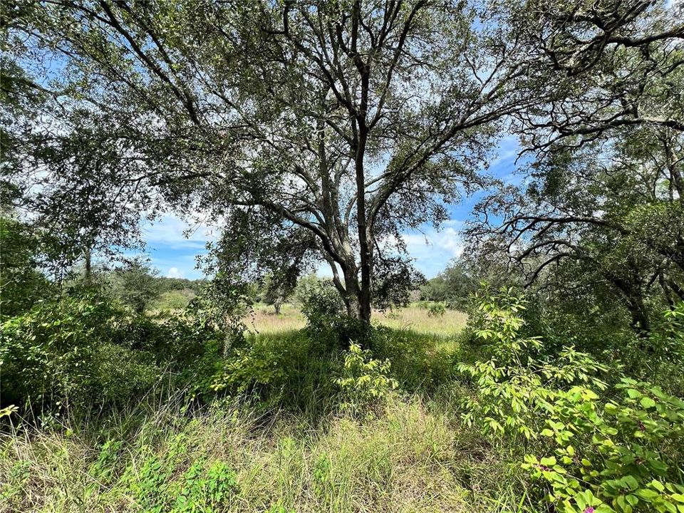 На продажу: $199,900 (5.17 acres)
