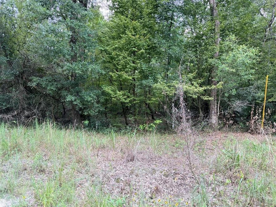 En Venta: $59,900 (5.37 acres)