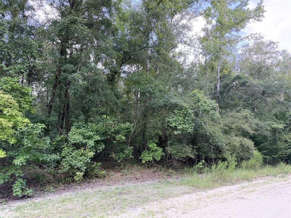 En Venta: $59,900 (5.37 acres)