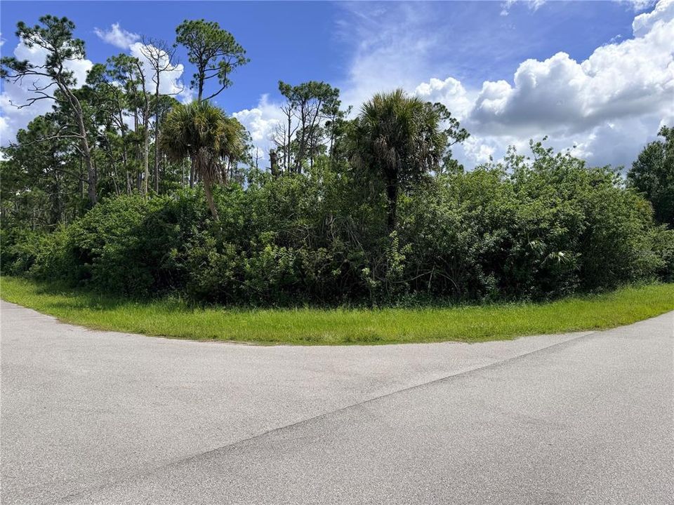 For Sale: $25,000 (0.35 acres)