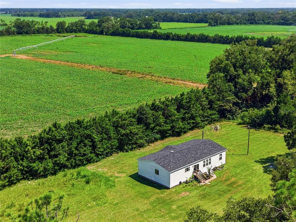 На продажу: $324,990 (3 спален, 2 ванн, 1800 Квадратных фут)