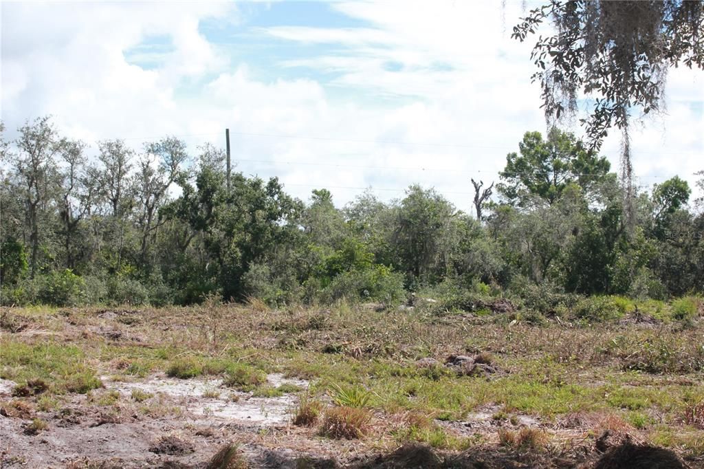 待售: $125,000 (1.91 acres)
