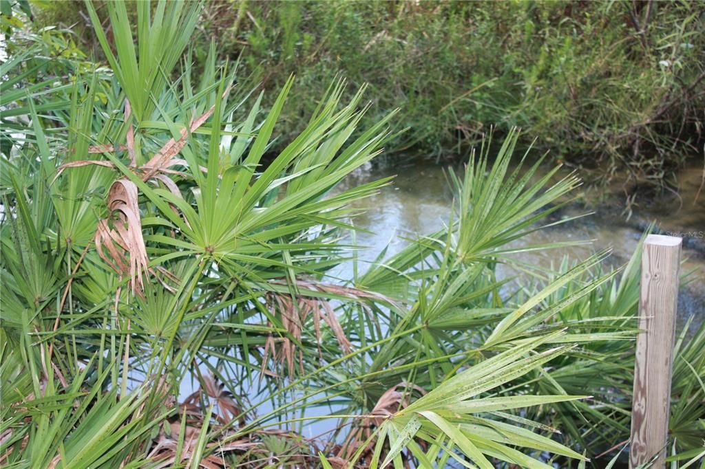 待售: $125,000 (1.91 acres)