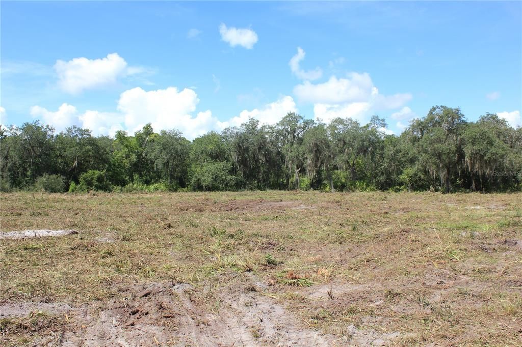 待售: $125,000 (1.91 acres)