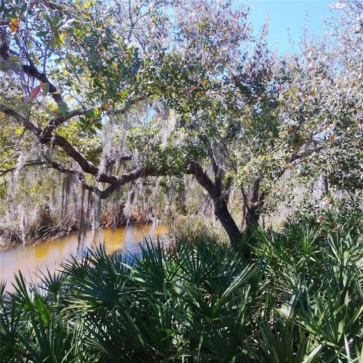 待售: $125,000 (1.91 acres)