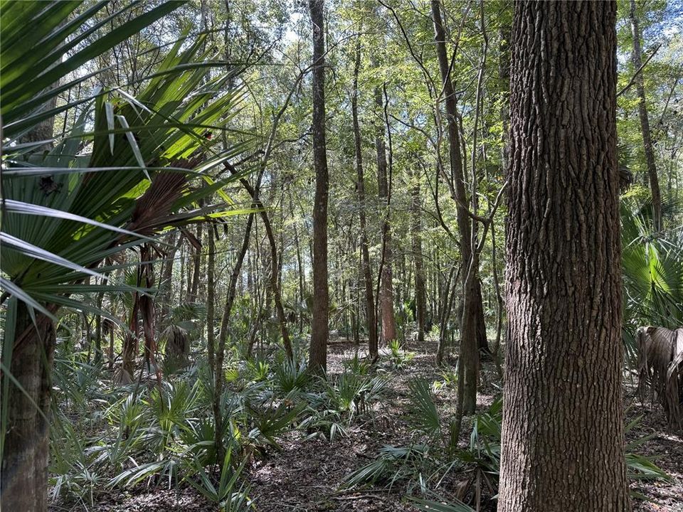 En Venta: $296,205 (15.19 acres)