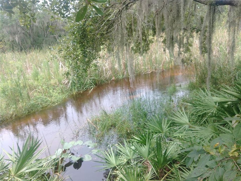 待售: $90,000 (1.05 acres)
