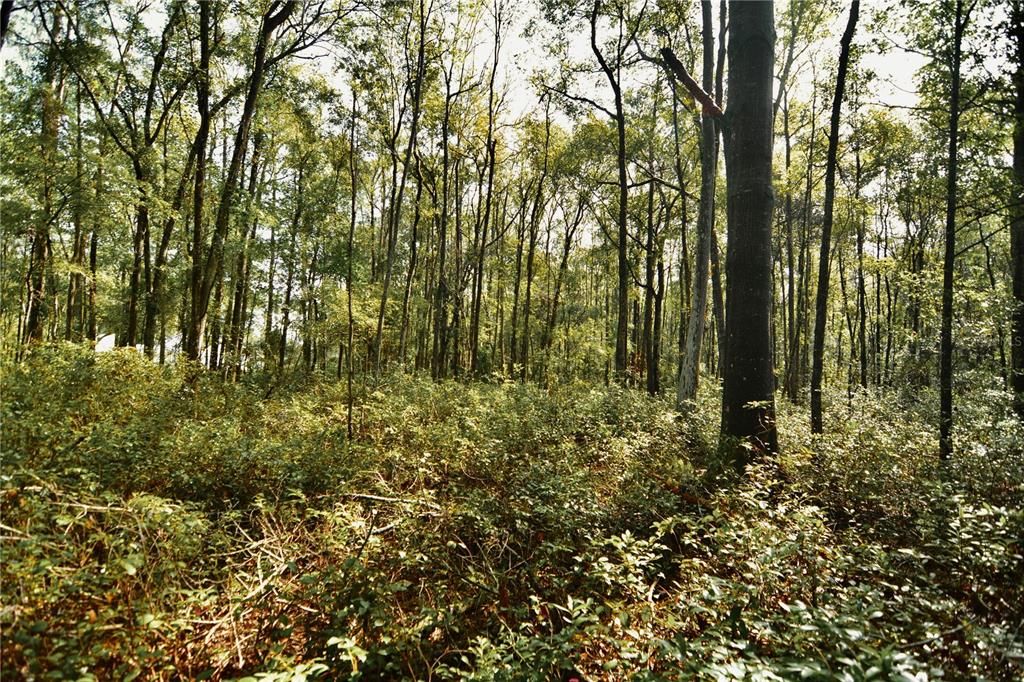 待售: $319,999 (32.00 acres)