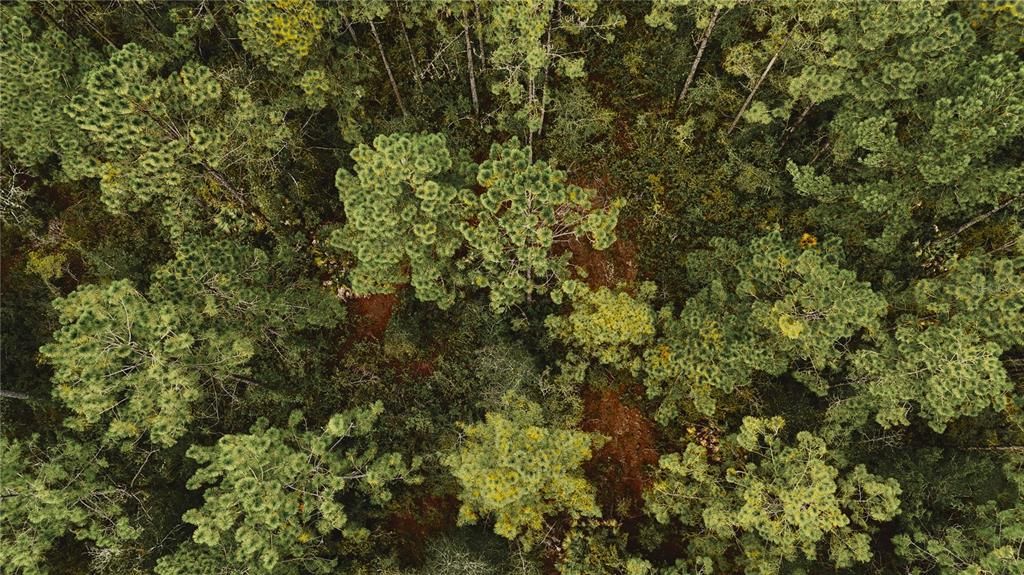 待售: $319,999 (32.00 acres)