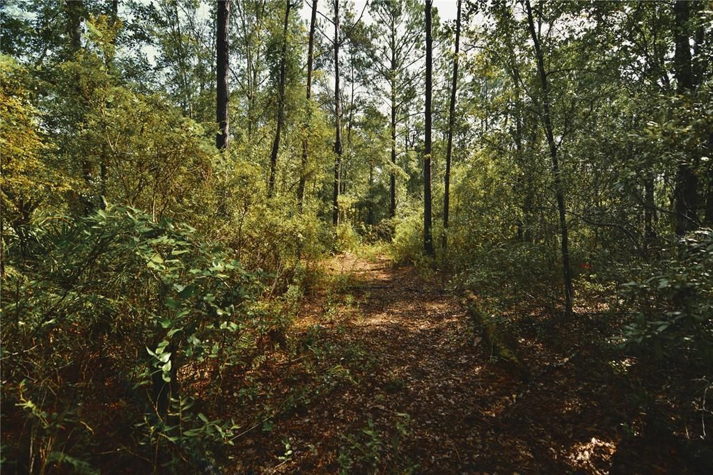 待售: $319,999 (32.00 acres)