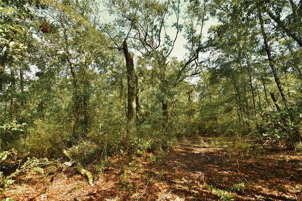 待售: $319,999 (32.00 acres)