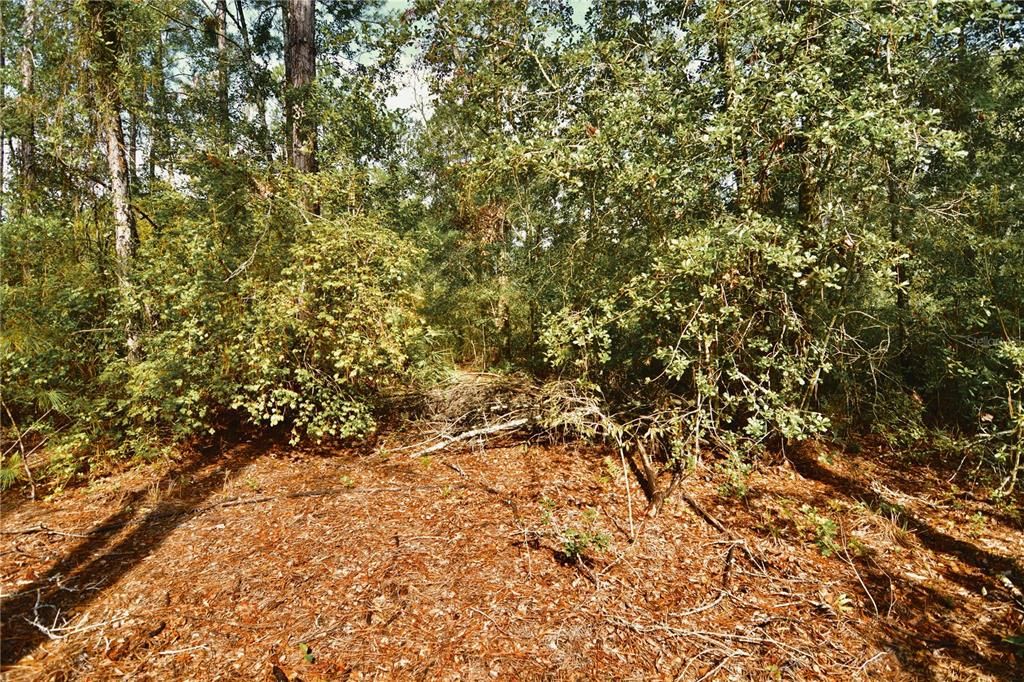 待售: $319,999 (32.00 acres)