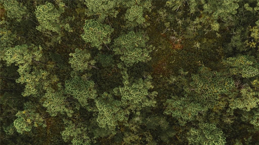 待售: $319,999 (32.00 acres)