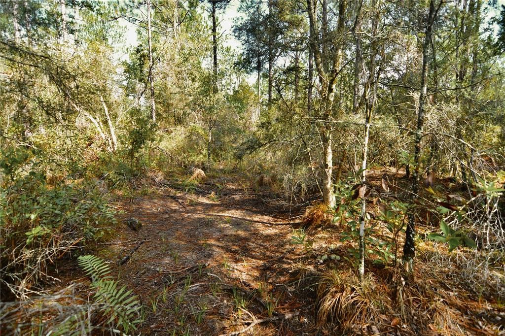 待售: $319,999 (32.00 acres)