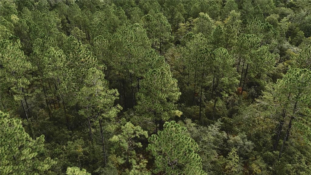 待售: $319,999 (32.00 acres)