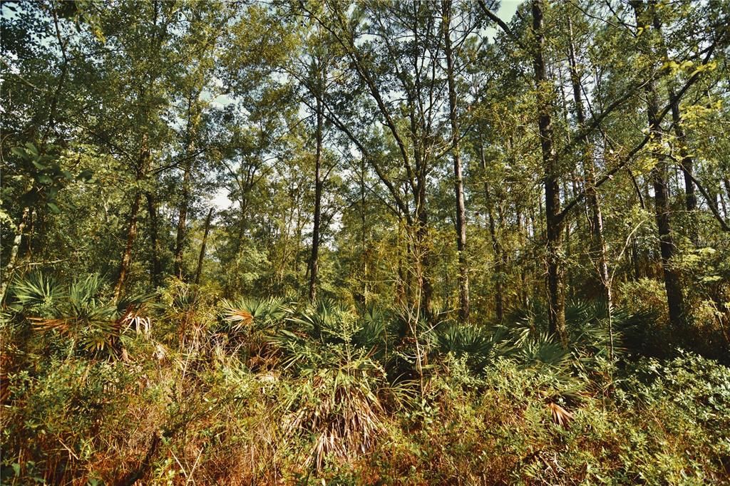 待售: $319,999 (32.00 acres)