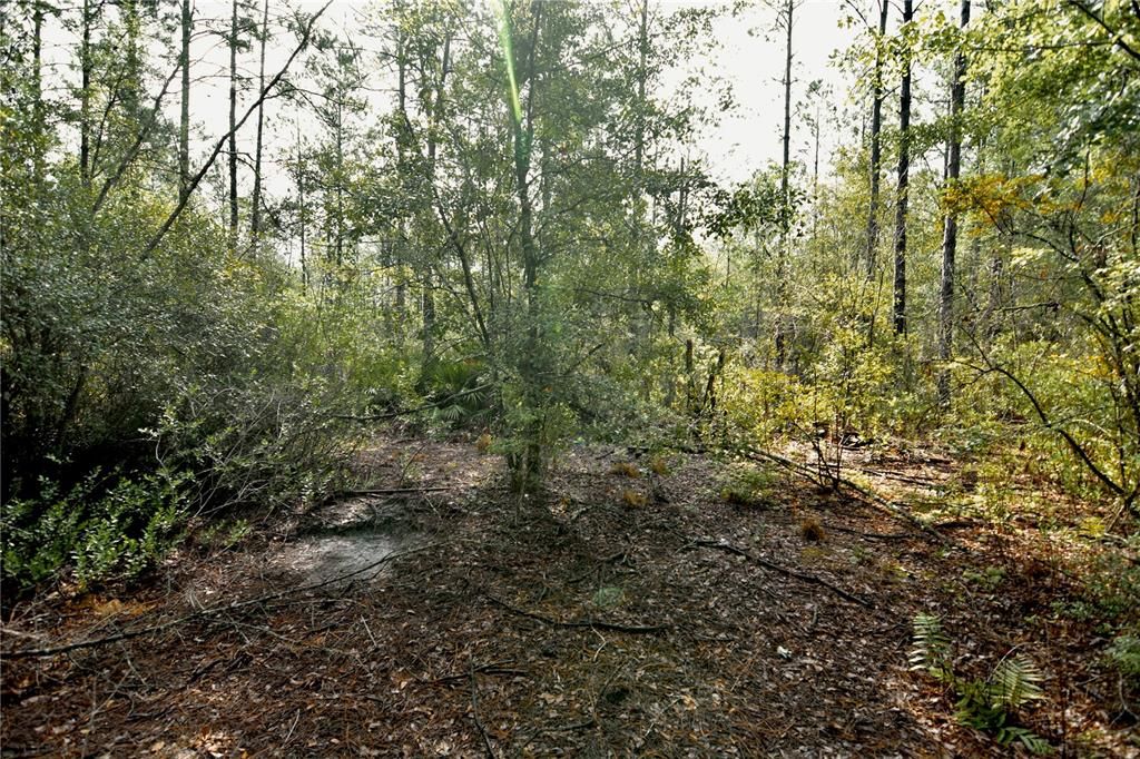 待售: $319,999 (32.00 acres)